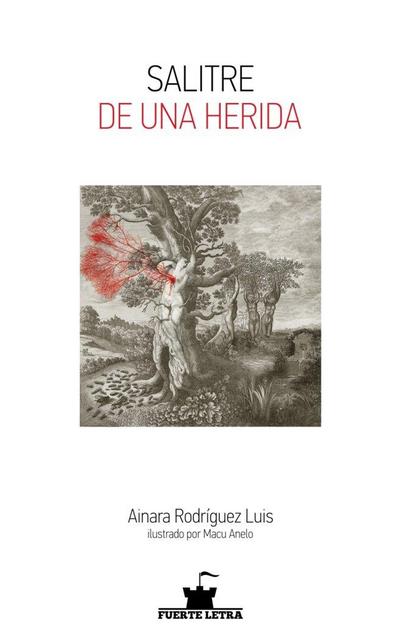 SALTITRE DE UNA HERIDA