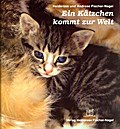 Ein Kätzchen kommt zur Welt