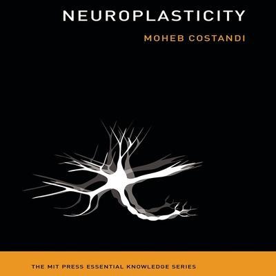 Neuroplasticity Lib/E: (The Mit Press Essential Knowledge Series)