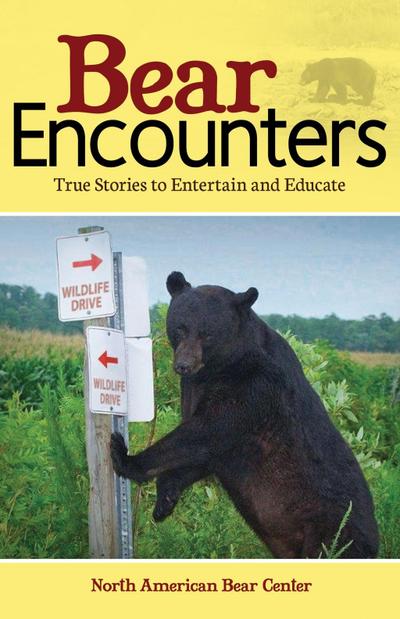 Bear Encounters