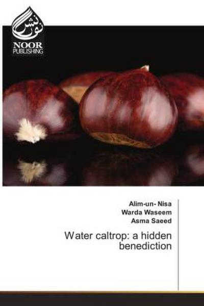 Water caltrop: a hidden benediction