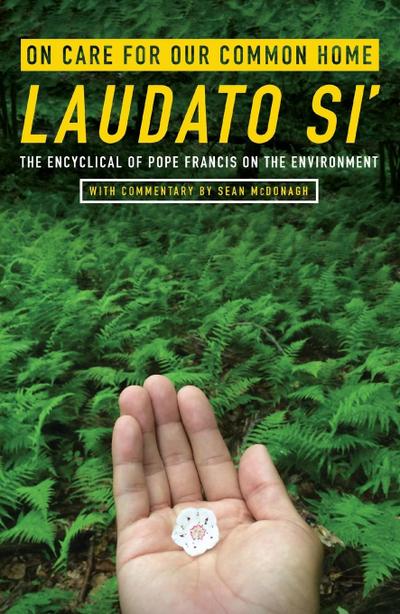 On Care for Our Common Home, Laudato Si’: The Encyclical of Pope Francis on the Environment with Commentary by Sean McDonagh