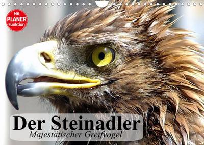 Der Steinadler. Majestätischer Greifvogel (Wandkalender 2023 DIN A4 quer)