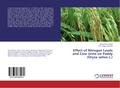 Effect of Nitrogen Levels and Cow Urine on Paddy (Oryza sativa L.)