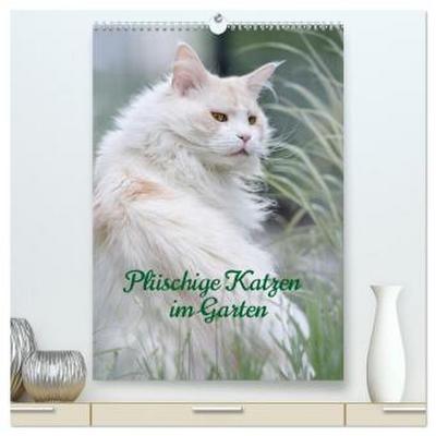 Plüschige Katzen im Garten (hochwertiger Premium Wandkalender 2026 DIN A2 hoch), Kunstdruck in Hochglanz