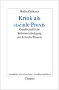 Kritik als soziale Praxis