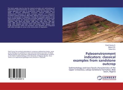 Paleoenvironment indicators: classical examples from sandstone outcrop