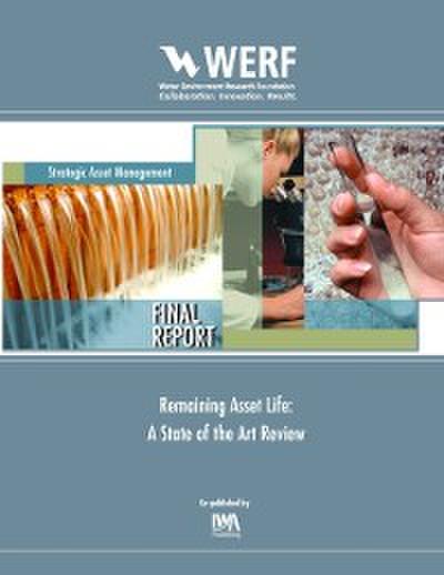 Remaining Asset Life