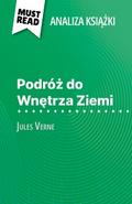 Podróż do Wnętrza Ziemi książka Jules Verne (Analiza książki)