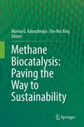 Methane Biocatalysis: Paving the Way to Sustainabi