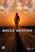 Souls Destiny