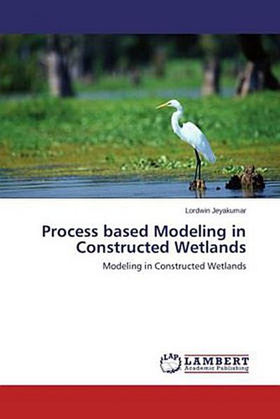 Process based Modeling in Constructed Wetlands