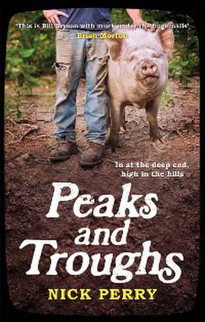 Peaks and Troughs