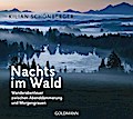 Nachts im Wald