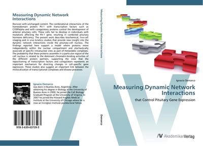 Measuring Dynamic Network Interactions