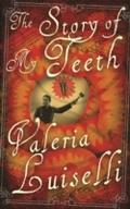 Story of My Teeth