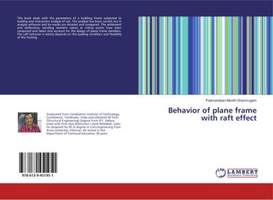 Behavior of plane frame with raft effect