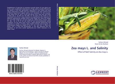 Zea mays L.and Salinity