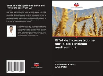 Effet de l’azoxystrobine sur le blé (Triticum aestivum L.)