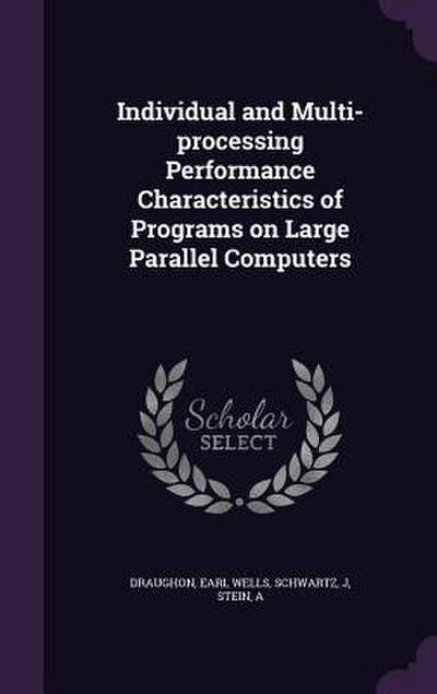 Individual and Multi-processing Performance Characteristics of Programs on Large Parallel Computers