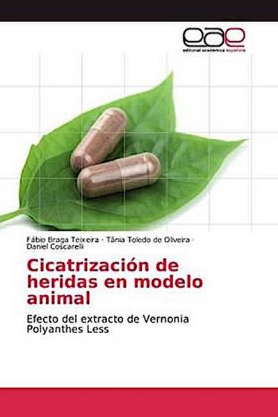 Cicatrización de heridas en modelo animal