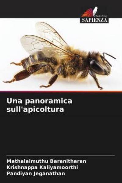 Una panoramica sull’apicoltura