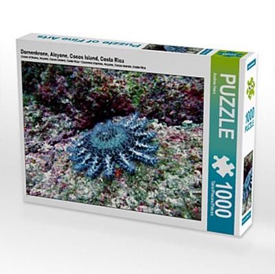 Dornenkrone, Alcyone, Cocos Island, Costa Rica (Puzzle)
