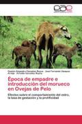 Época de empadre e introducción del morueco en Ovejas de Pelo