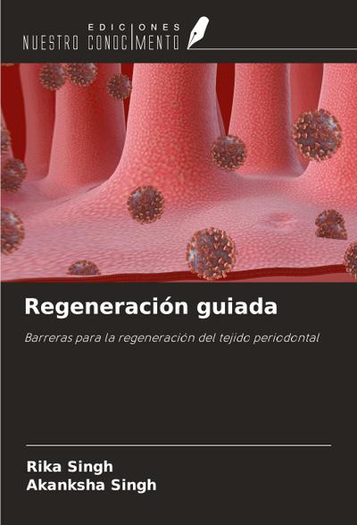 Regeneración guiada