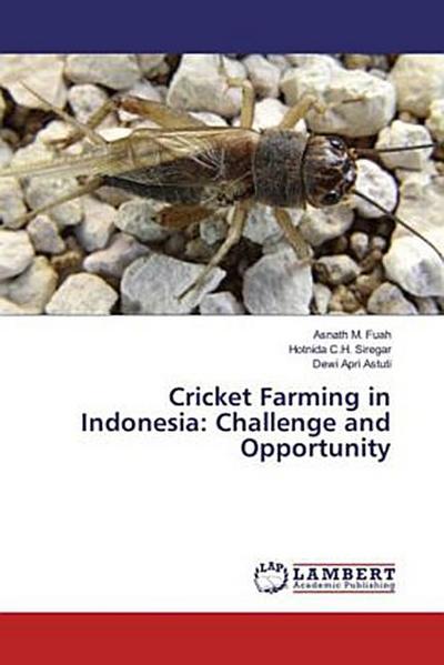 Cricket Farming in Indonesia: Challenge and Opportunity