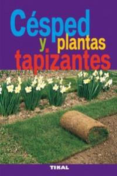 Césped y las plantas tapizantes