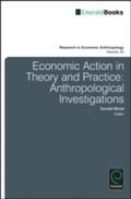Economic Action in Theory and Practice
