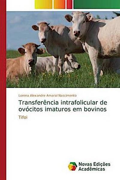 Transferência intrafolicular de ovócitos imaturos em bovinos
