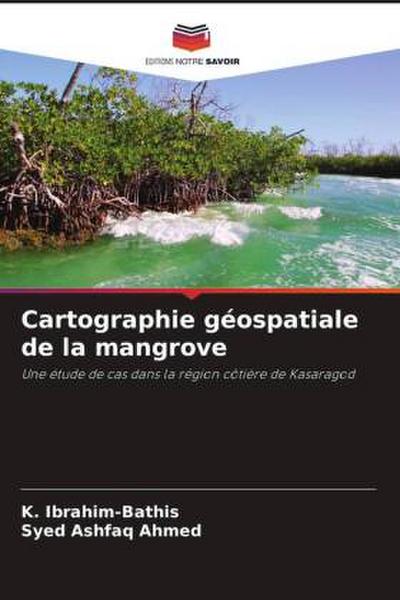 Cartographie géospatiale de la mangrove
