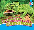 El mundo del camaleón