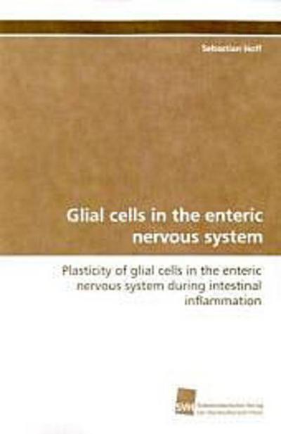 Glial cells in the enteric nervous system