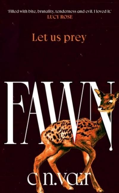 Fawn