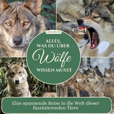 Alles, was du über Wölfe wissen musst