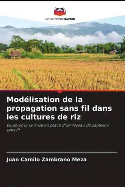 Modélisation de la propagation sans fil dans les cultures de riz