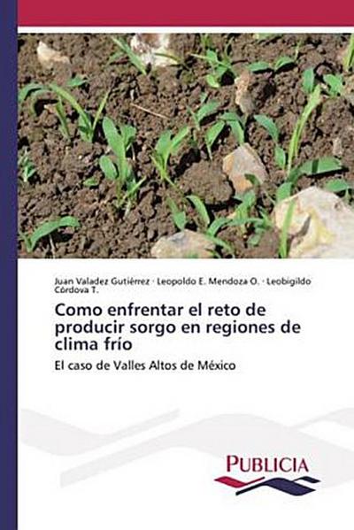 Como enfrentar el reto de producir sorgo en regiones de clima frío