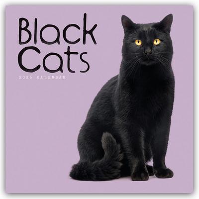 Black Cats - Schwarze Katzen 2026 - Wand-Kalender