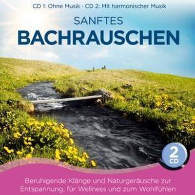 Sanftes Bachrauschen-Beruhigende Klänge