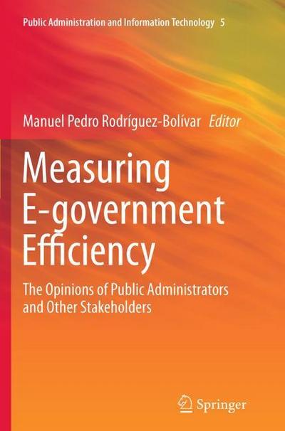 Measuring E-government Efficiency
