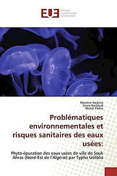 Problématiques environnementales et risques sanitaires des eaux usées: