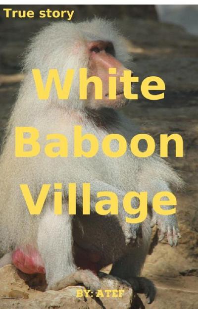 White Baboon Village (1)