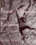 Primate Adaptation and Evolution