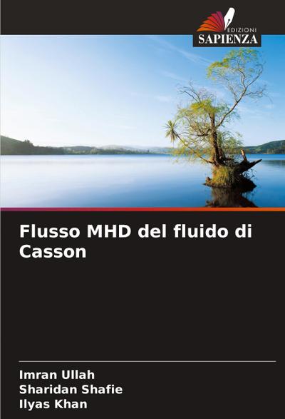 Flusso MHD del fluido di Casson