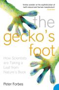 The Gecko’s Foot