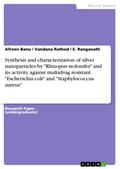 Synthesis and characterization of silver nanoparticles by "Rhizopus stolonifer" and its activity against multidrug resistant "Escherichia coli" and "Staphylococcus aureus"