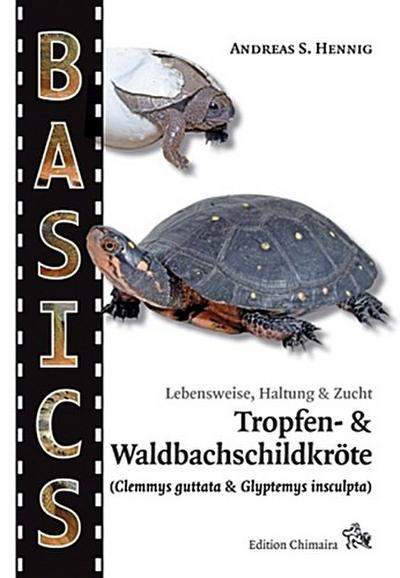 Tropfen- und Waldbachschildkröte